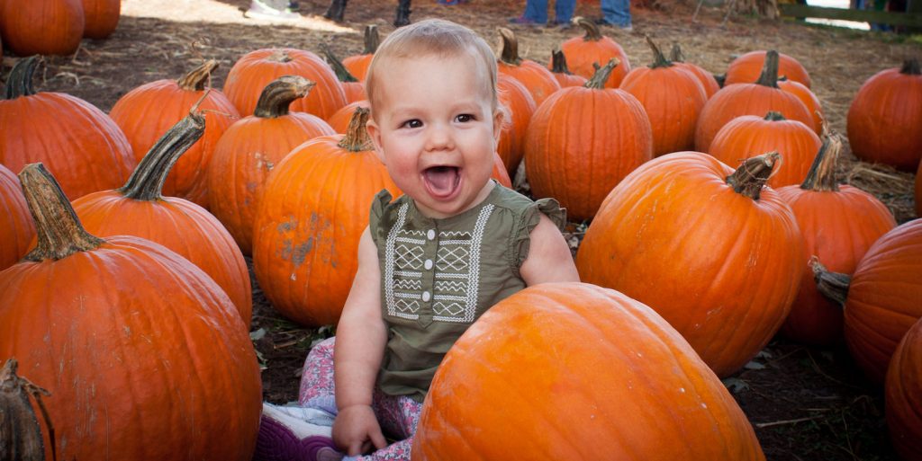 September 21st - October 27th, 2024
Pick Your Own Pumpkins, Cowvin's Corny Maze, Wagon Ride on the Farm, Haunted Wagon Rides and all sorts of fall fun await!