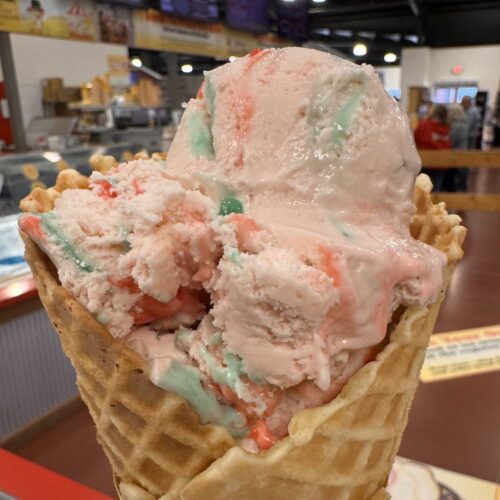 Things to Do This Week