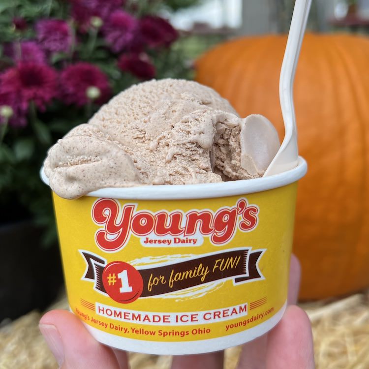 cinnamon-ice-cream