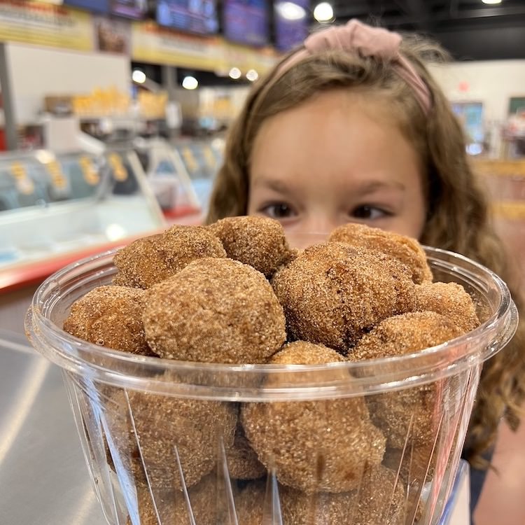 cinnamon-sugar-donut-holes