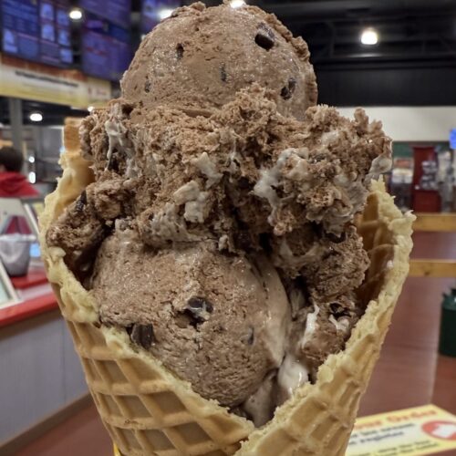 Things to Do This Week